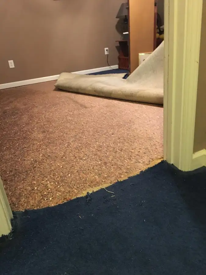 Carpet pad removal revealing water damage during Water Mitigation Services in Highwood